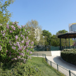 Une expo autour des pollinisateurs au cœur de Paris pour les Rendez-Vous aux Jardins 2026