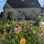 Ce jardin sensoriel s’anime pour les Rendez-Vous aux Jardins 2026 en île-de-France