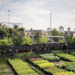 Ouverture du potager urbain Peasandlove sur le toit de l'hôtel Yoom à Beaugrenelle