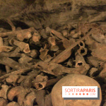Les Catacombes de Paris