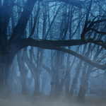 Black Gargoyle : l'enseigne d'expérience immersive terrifiante en pleine forêt en Seine-et-Marne