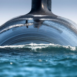 Titans des mers : l'expo photo gratuite d’Ewan Lebourdais au musée national de la Marine