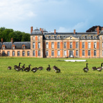 Exposition de Lélia Demoisy au Domaine de Chamarande : Récits de Forêts
