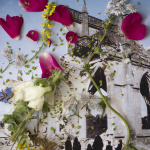 Exposition Laurence Aëgerter au Petit Palais