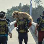 Arthur the King, une aventure entre Mark Wahlberg et son fidèle compagnon à pattes sur Prime Video