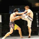 Déconfinement : les médecins favorables à une reprise de l'UFC à huis clos 