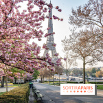 Covid : les indicateurs de l'épidémie baissent toujours en France