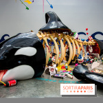 Base de données LaurentP