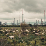 Toxicily de François-Xavier Destors : Notre avis et la bande-annonce du documentaire