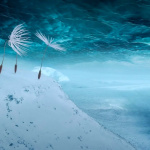 Planètes de Momoko Seto, film de clôture de la Semaine de la Critique 2025