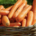La Cueillette de Compans, remplir son panier de produits frais en Seine-et-Marne (77)