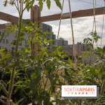 Sous les Fraises & So Ouest inaugurent la première ferme maraichère urbaine à Levallois-Perret : les photos