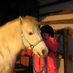 Yvelines (78) : des baptêmes de poneys gratuits pour les enfants à la rentrée !