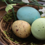 Pâques 2026 : la chasse aux oeufs de Saint-Cyr-l'École, dans les Yvelines (78)