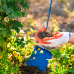 Printemps des quais à Pontoise (95)