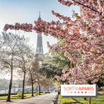 Visuel Paris Tour Eiffel cerisiers en fleurs