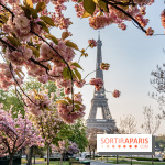 Visuel Paris Tour Eiffel cerisiers en fleurs