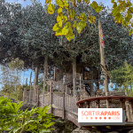Visuels Disneyland Paris - La Cabane des Robinson
