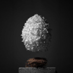 Eggxtraordinary 2026 exposition oeuf chocolat