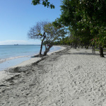 Covid : état d'urgence sanitaire décrété dans les territoires d'Outre-Mer