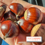 Fruit d'automne : marron ou châtaigne, comment reconnaître les fruits comestibles en forêt