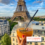 Frame Rooftop du Pullman Tour Eiffel, les photos