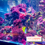 L'Aquarium Tropical de la Porte Dorée