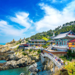 Jeux Paralympiques : une Maison de la Corée aux Showrooms du Marais