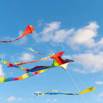 Festival de Cerfs-Volants : Base 2017