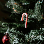 Illuminations de Noël 2022-2023 : ciel de montgolfières et animations gratuites à Bercy Village