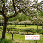 Le Château de Saint-Jean de Beauregard et son Jardin remarquable