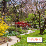 Les jardins du Musée Albert Kahn, nos photos