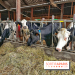 Le Château de Rambouillet et sa Bergerie nationale, un domaine d'exception en Ile-de-France