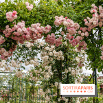 Photos : La Roseraie du val-de-Marne