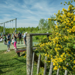 Le parc départemental des Lilas, le grand parc arboré de Vitry-sur-Seine (94) 