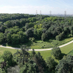 Le parc de la Butte Pinson, le spot verdoyant pour se croire en forêt, à Villetaneuse (93)