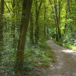 Parc de la Fosse Maussoin