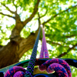 Exposition chiens et chats cité des sciences