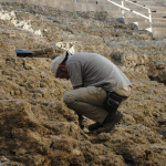 Journées du Patrimoine 2024 : découvrez le site archéologique de la ville de Pincevent (77)