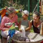 Devenez soigneur le temps d'une journée à la Plume de Vallombreuse (77)