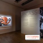 Picasso et la Pr&eacute;histoire, les photos de l'exposition au Mus&eacute;e de l'Homme
