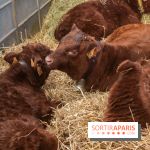 Salon de l'agriculture 2023 - 20230227154759 IMG 3915