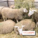 Salon de l'agriculture 2023