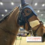 cheval - Saut Hermès