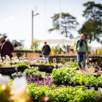 Les journées des plantes & Art  - journes des plantes  fontainebleau 2025 i samedi 29 mars 2025 54425853222 o