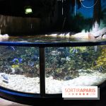 Aquarium Sea Life - IMG 8374