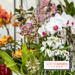 Esprit Jardin à Versailles - Marché aux plantes et animations