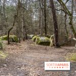 Barbizon, le village entre l'art et la nature - A7C7555