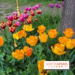 Wat Thammapatip Inrernational : la pagode bouddhiste et sa street food thaï, à Moissy-Cramayel - 99FD4B48 6186 4387 98E1 8653B6C21110