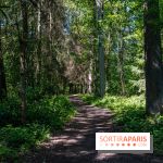 Visuel forêt